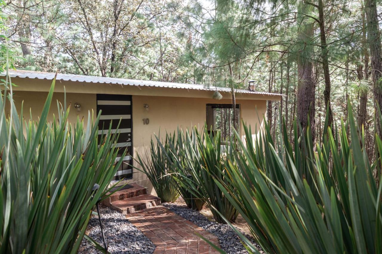Rincon De Maria Mazamitla Villa Ngoại thất bức ảnh